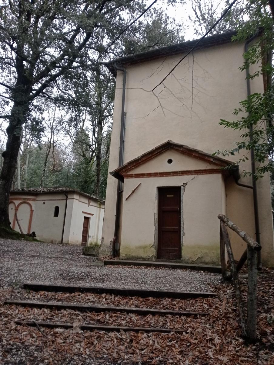 Quercia della merenda, Fonte del Tasso e Vignale da Cappella dell'ascensione - foto 32