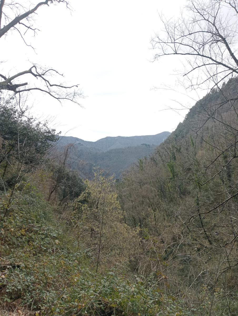 Cascata dell'Acquapendente, Ponte Mediceo e Santuario di San Leonardo da Cardoso - foto 5