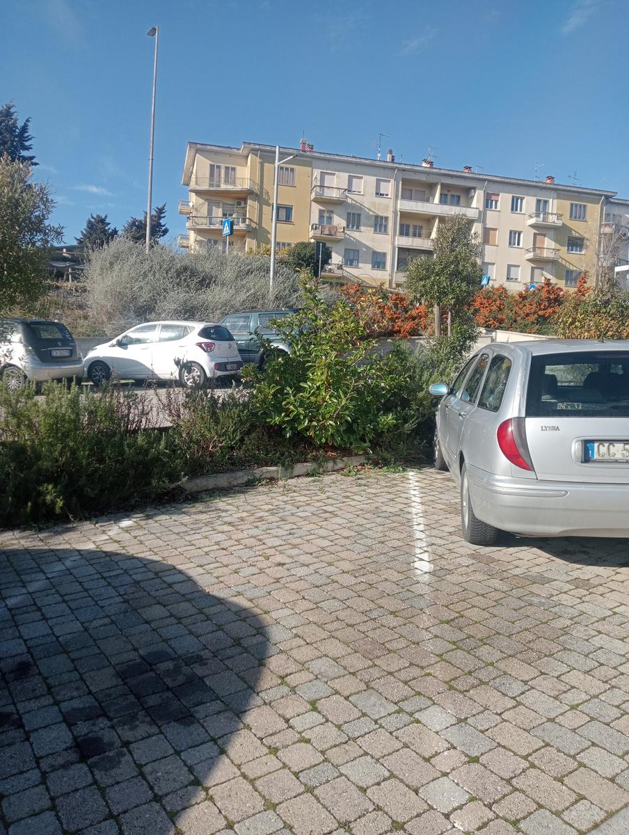 Pozzo della campana e San Michele alle Formiche da Montecerboli - foto 2