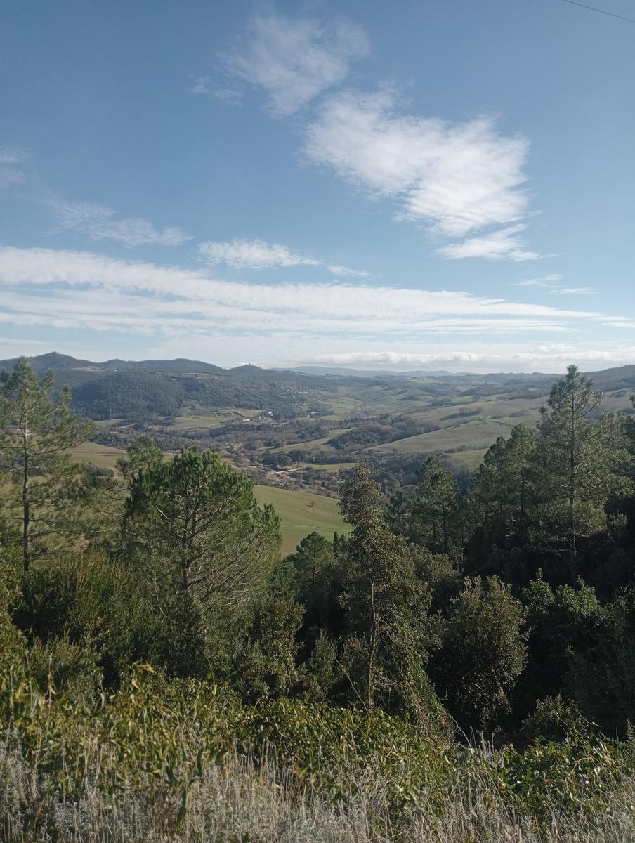 Pozzo della campana e San Michele alle Formiche da Montecerboli - foto 6
