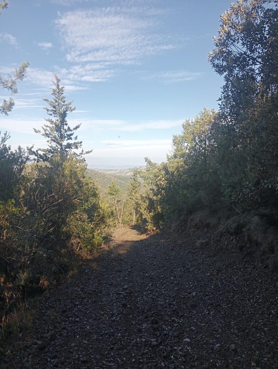 Pozzo della campana e San Michele alle Formiche da Montecerboli - foto 16