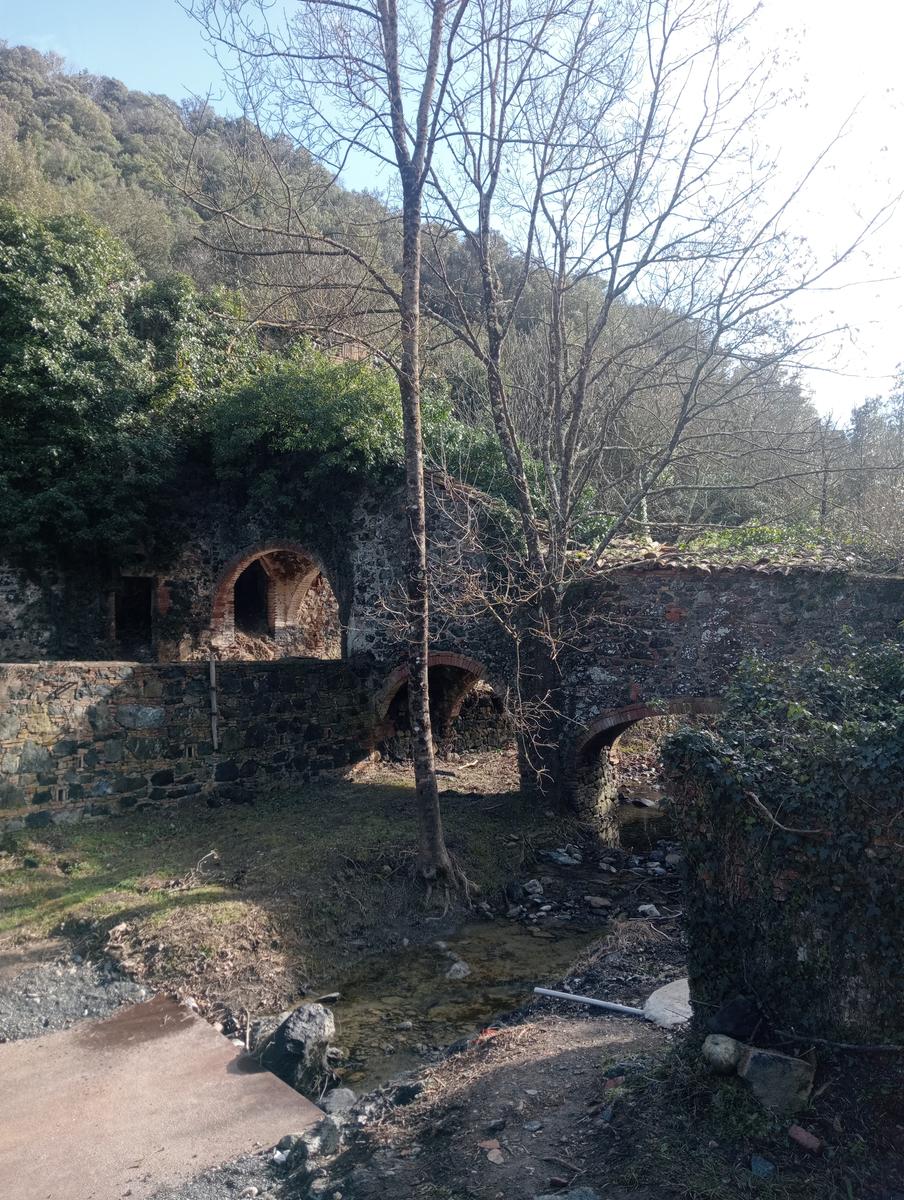 Pozzo della campana e San Michele alle Formiche da Montecerboli - foto 18