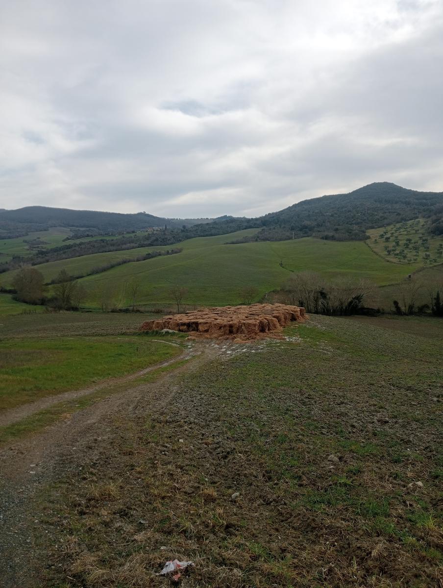Cascate della Strolla, Fonte del latte e Pieve della Nera da Prato d'Era - foto 5