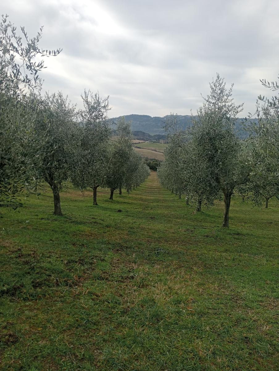 Cascate della Strolla, Fonte del latte e Pieve della Nera da Prato d'Era - foto 6