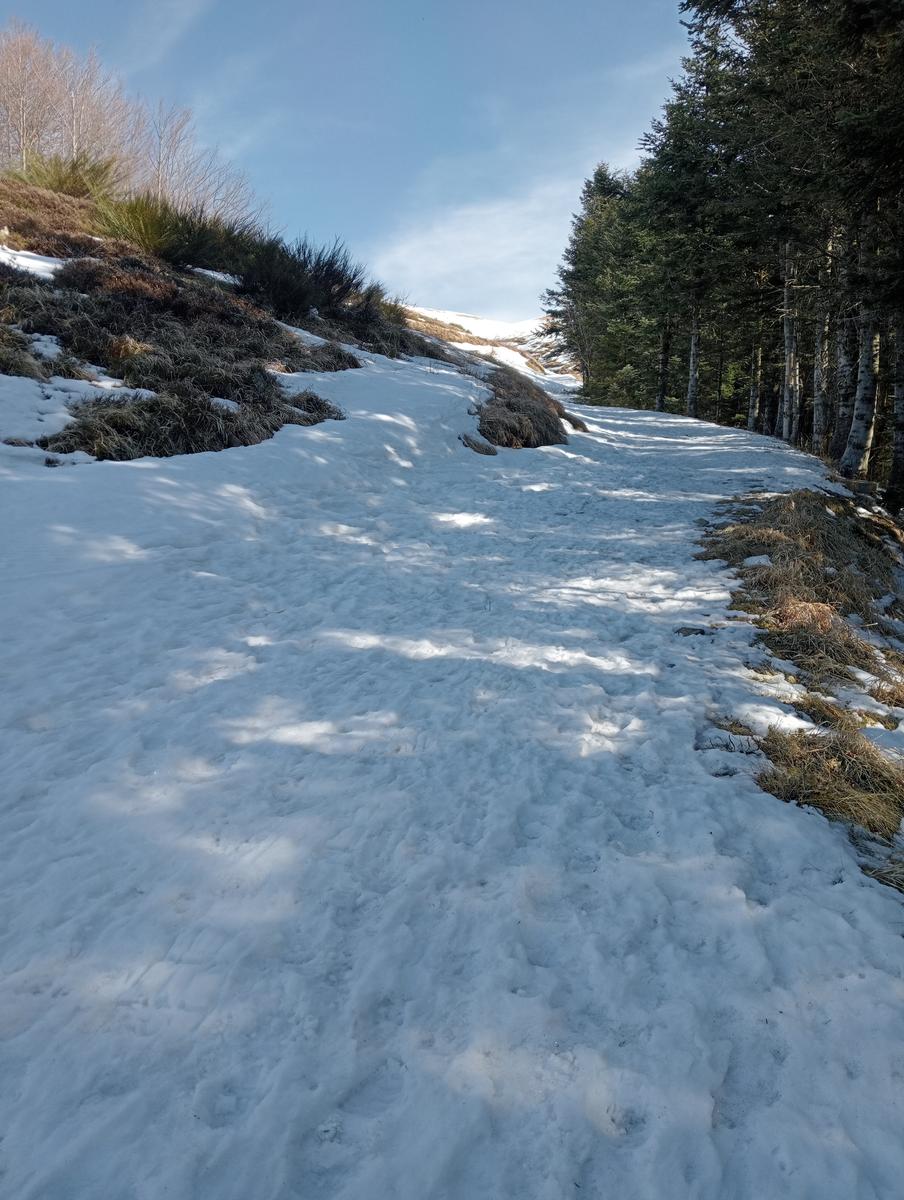 Ciaspolata ~ Passo della Calanca, Lago Scaffaiolo e Monte Spigolino da Doganaccia