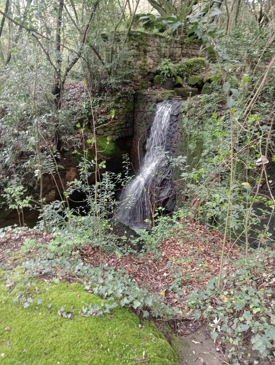 Fontana di Pegaso da Former Roman Catholic Diocese of Bomarzo - foto 12