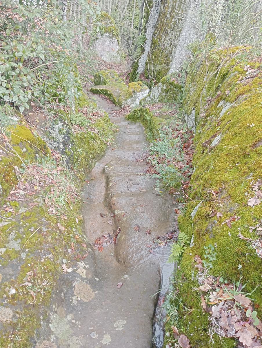 Necropoli Santa Cecilia, Piramide etrusca e Iscrizione romana da Bomarzo - foto 2