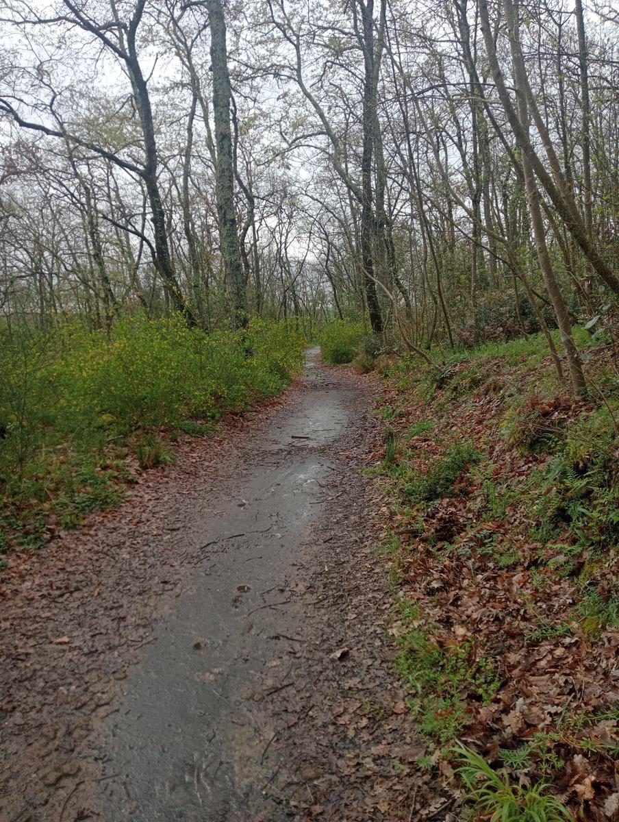 Necropoli Santa Cecilia, Piramide etrusca e Iscrizione romana da Bomarzo - foto 5