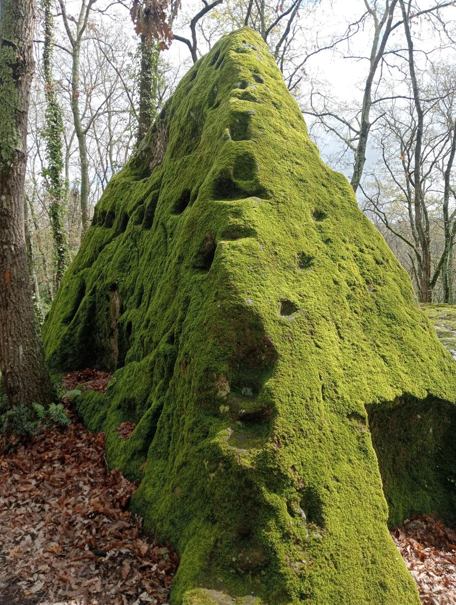 Necropoli Santa Cecilia, Piramide etrusca e Iscrizione romana da Bomarzo - foto 8