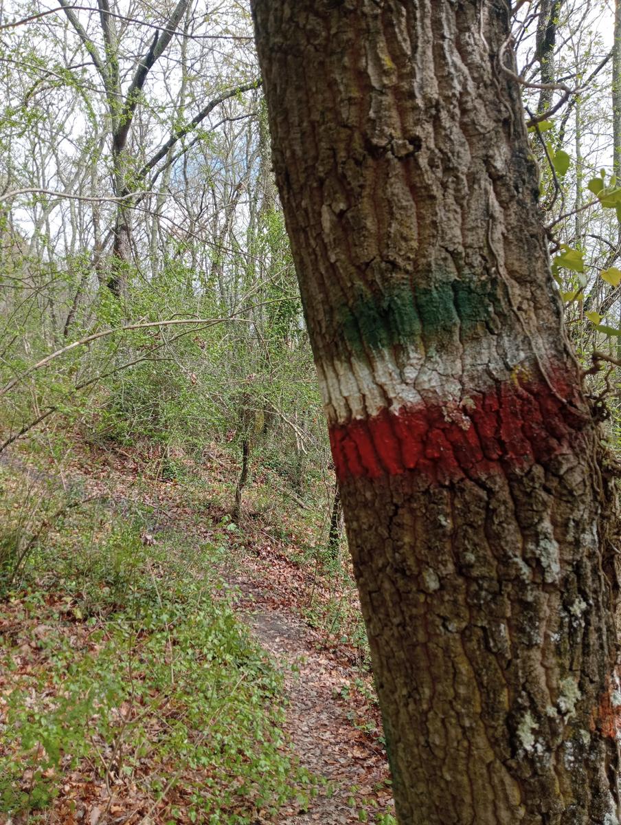 Necropoli Santa Cecilia, Piramide etrusca e Iscrizione romana da Bomarzo - foto 10