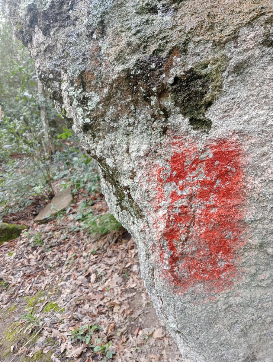 Necropoli Santa Cecilia, Piramide etrusca e Iscrizione romana da Bomarzo - foto 12
