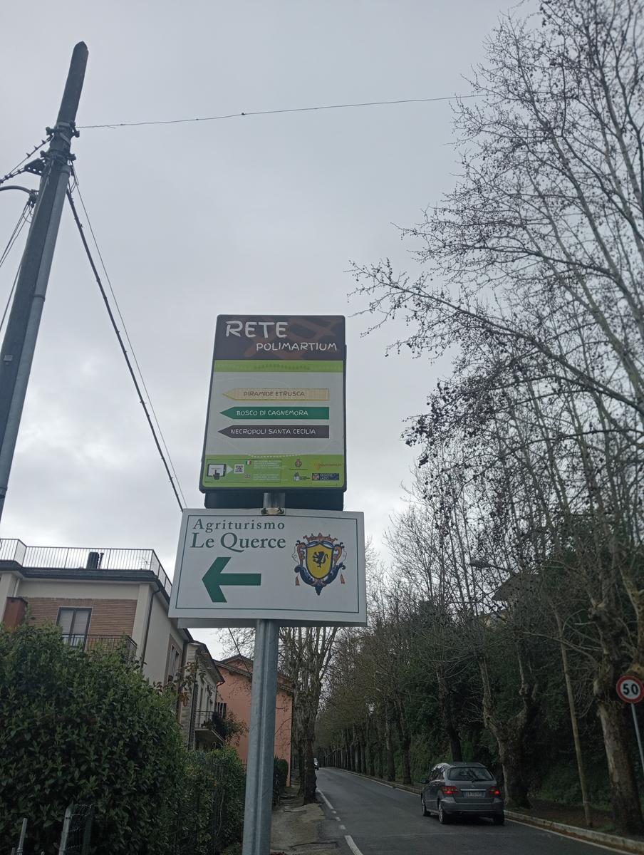 Necropoli Santa Cecilia, Piramide etrusca e Iscrizione romana da Bomarzo - foto 16