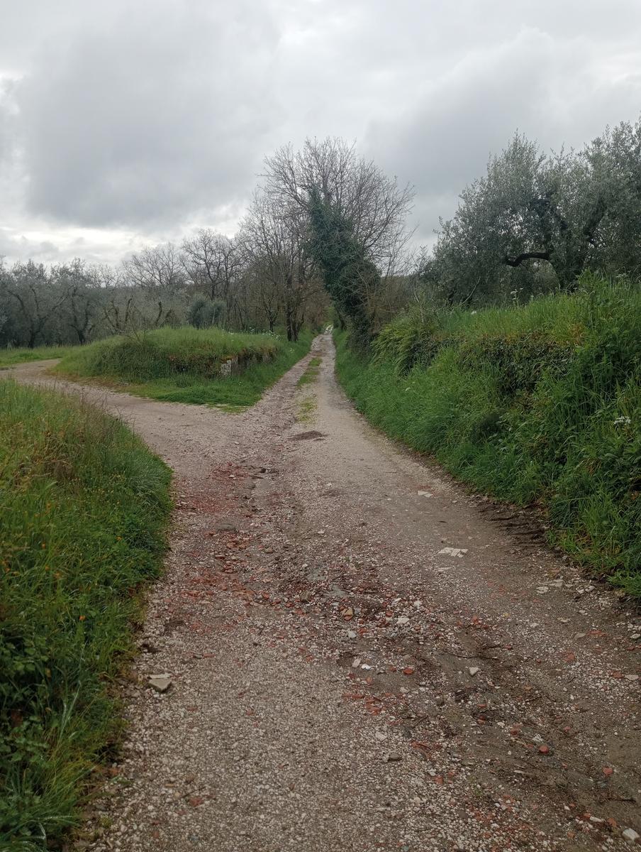 Necropoli Santa Cecilia, Piramide etrusca e Iscrizione romana da Bomarzo - foto 17