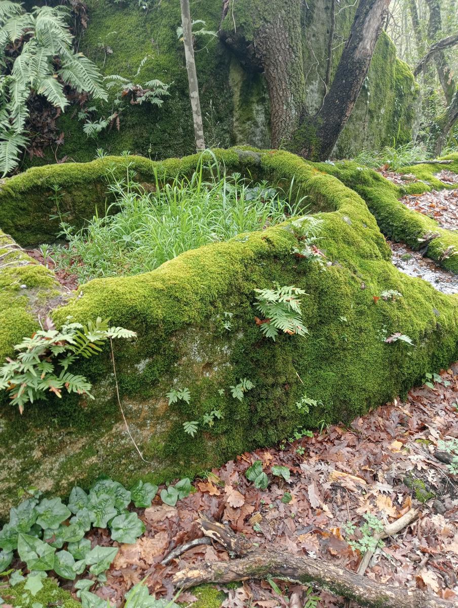 Necropoli Santa Cecilia, Piramide etrusca e Iscrizione romana da Bomarzo - foto 18