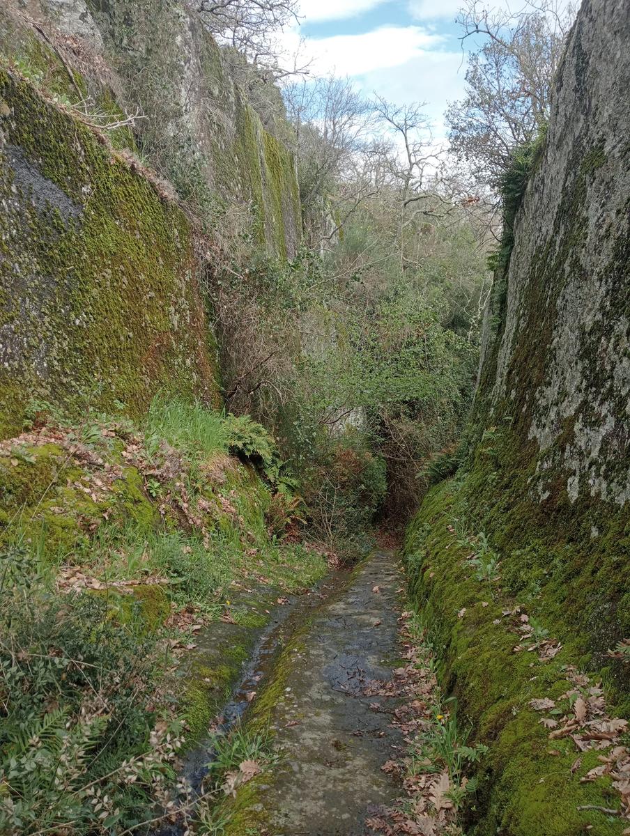 Necropoli Santa Cecilia, Piramide etrusca e Iscrizione romana da Bomarzo - foto 21