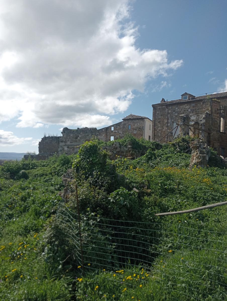 Castello Orsini da Borgo di celleno - foto 9