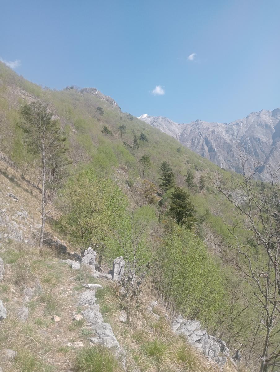 Forno ~ Pizzo della bandiera ~ Monte Cipolla ~ Grotta dell'onice ~ Monte Girello ~ Monte Castagnolo - foto 6