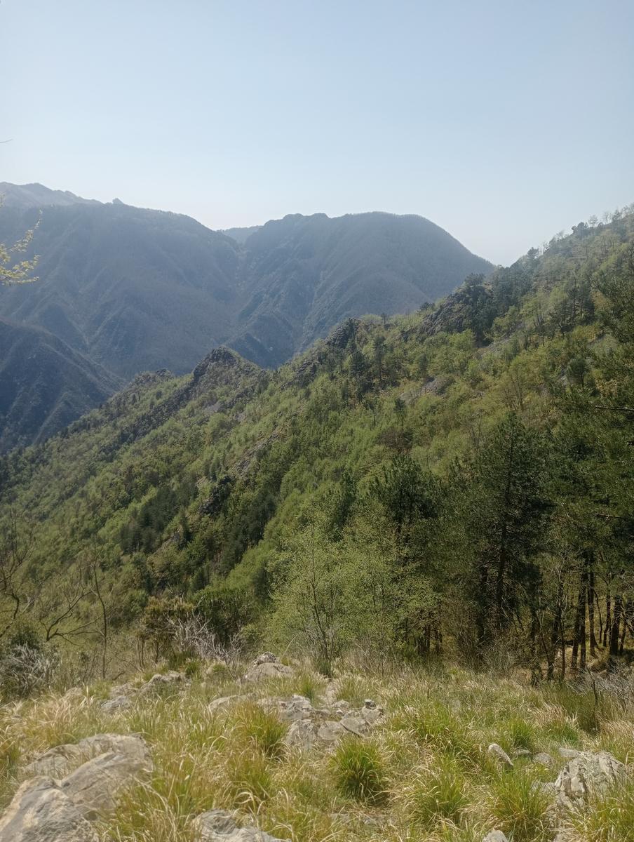 Forno ~ Pizzo della bandiera ~ Monte Cipolla ~ Grotta dell'onice ~ Monte Girello ~ Monte Castagnolo - foto 7