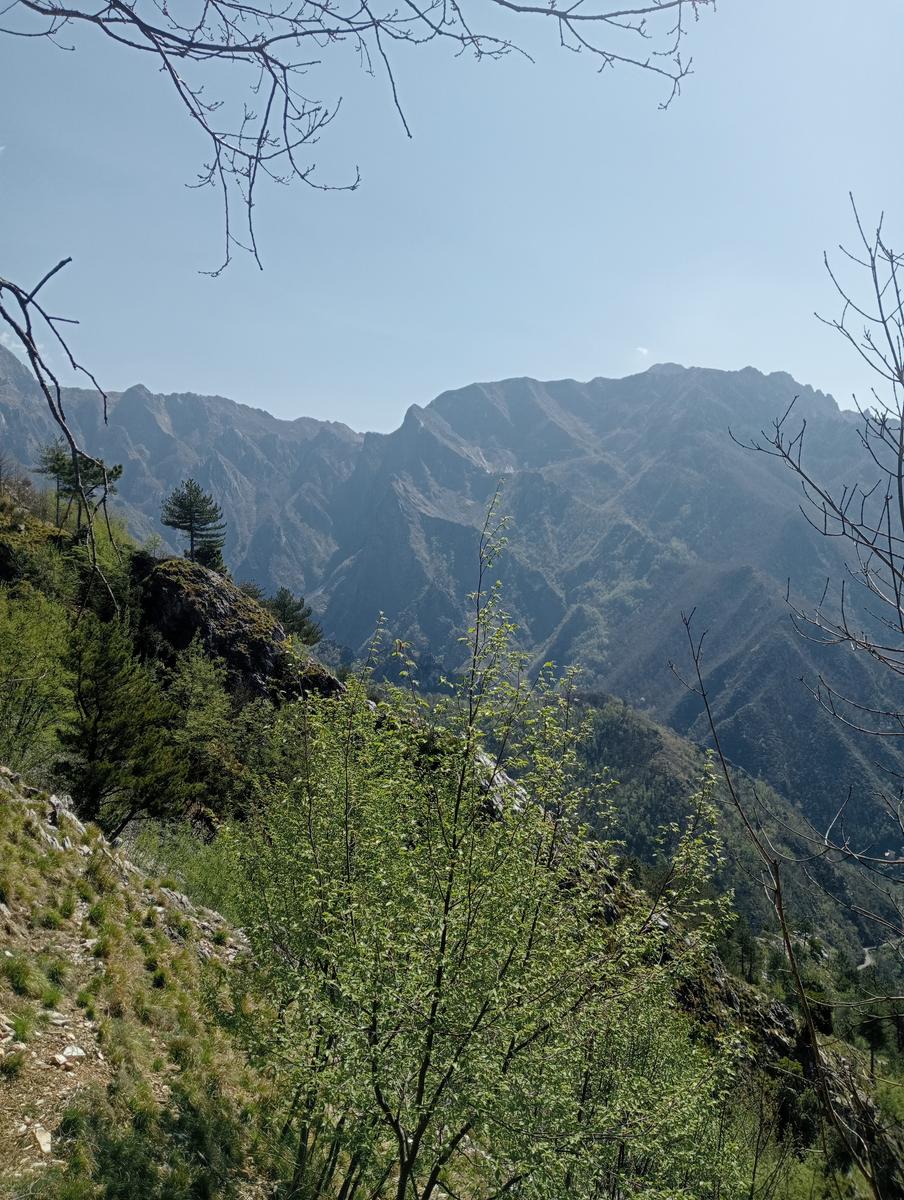 Forno ~ Pizzo della bandiera ~ Monte Cipolla ~ Grotta dell'onice ~ Monte Girello ~ Monte Castagnolo - foto 15