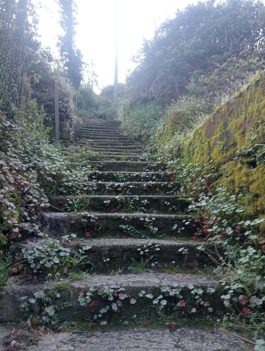Forno ~ Pizzo della bandiera ~ Monte Cipolla ~ Grotta dell'onice ~ Monte Girello ~ Monte Castagnolo - foto 19