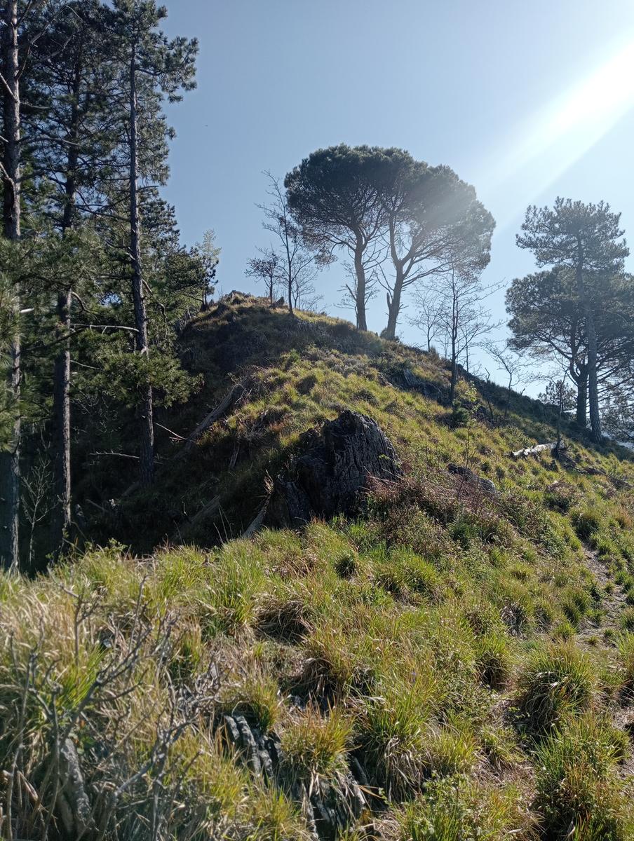 Forno ~ Pizzo della bandiera ~ Monte Cipolla ~ Grotta dell'onice ~ Monte Girello ~ Monte Castagnolo - foto 23