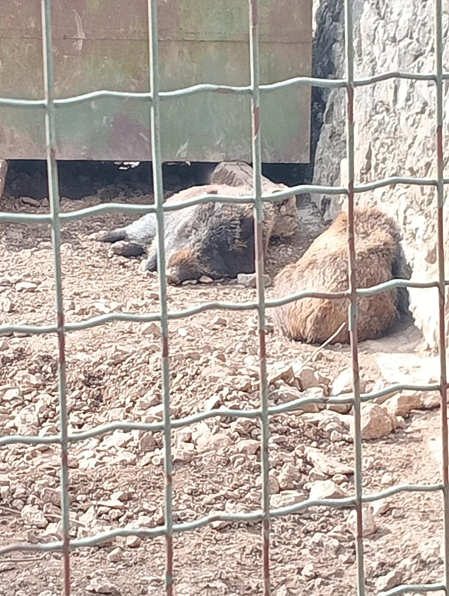 Matanna e Nona - foto 2