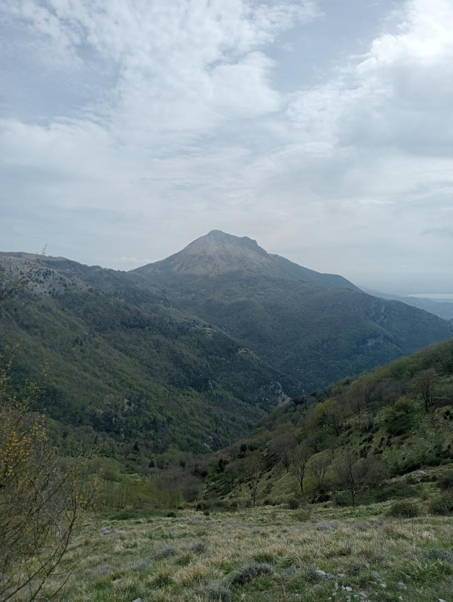 Matanna e Nona - foto 6