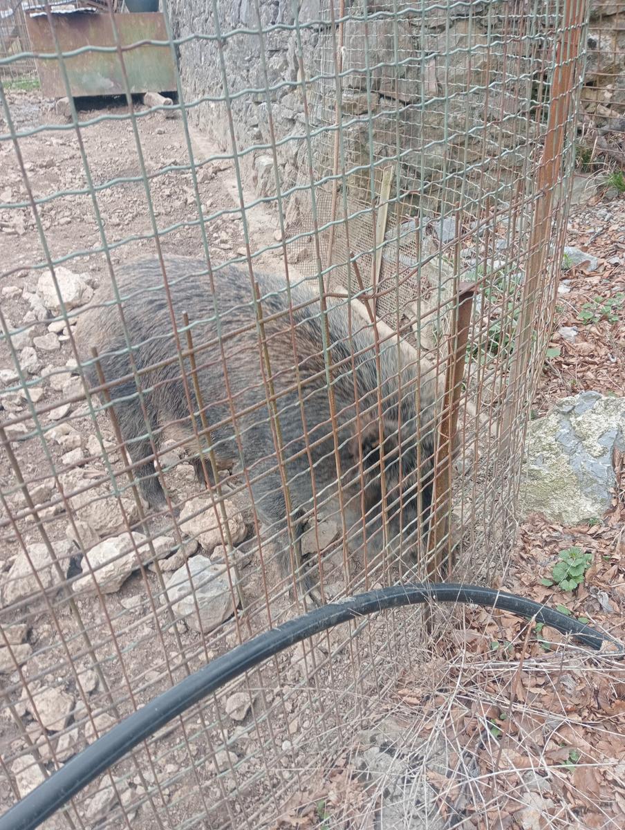 Matanna e Nona - foto 9