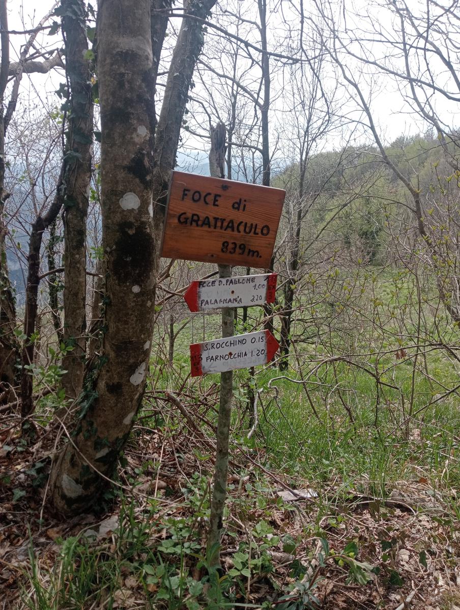 Matanna e Nona - foto 19