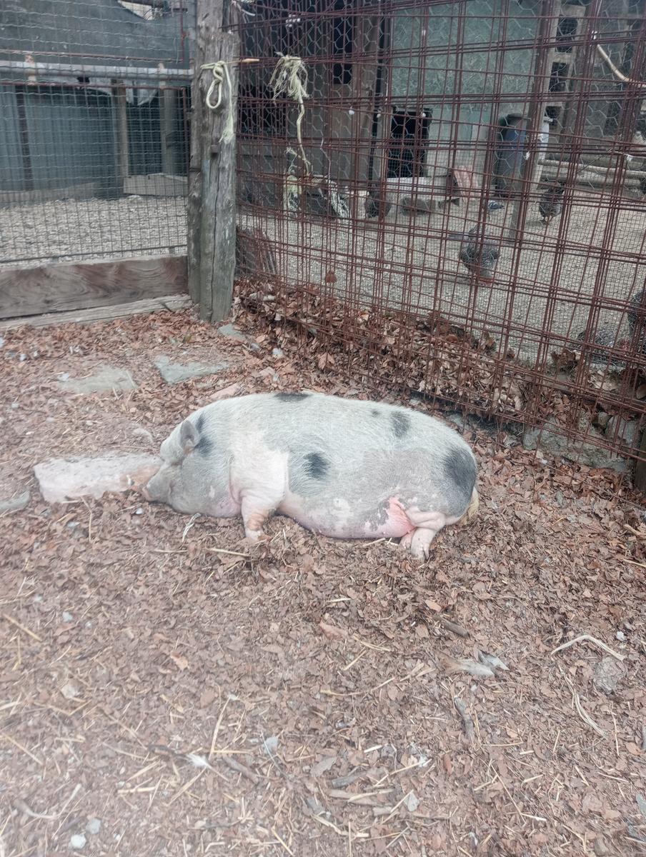 Matanna e Nona - foto 21