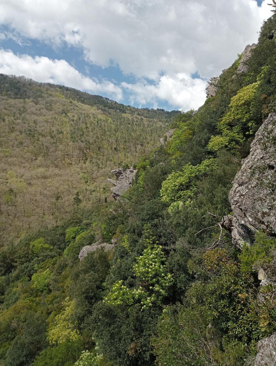 Ferrata buti - foto 9