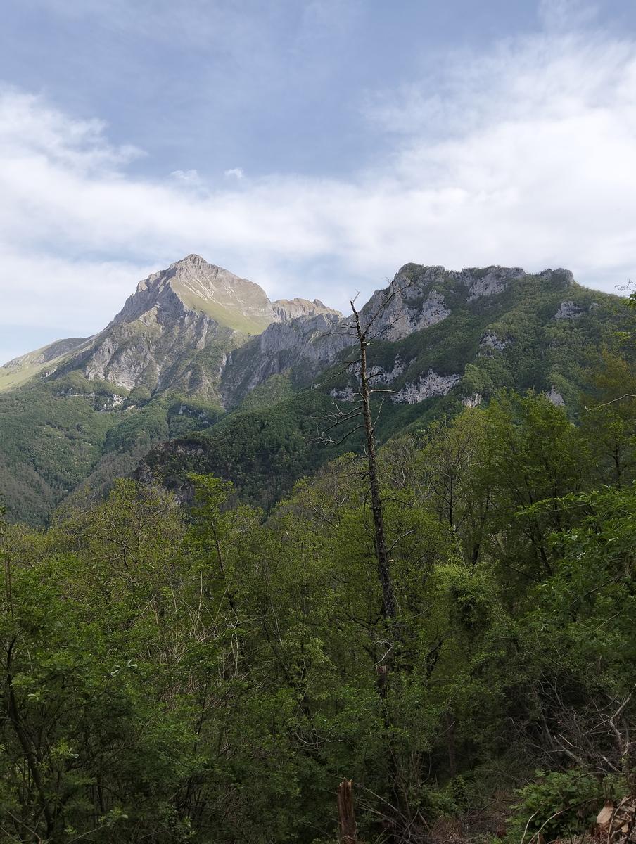 Foce di Petrosciana, Monte Forato Sud (e ferrata) e Procinto - foto 2
