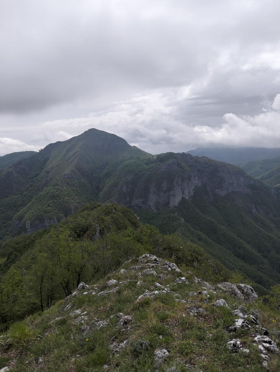 Foce di Petrosciana, Monte Forato Sud (e ferrata) e Procinto - foto 5