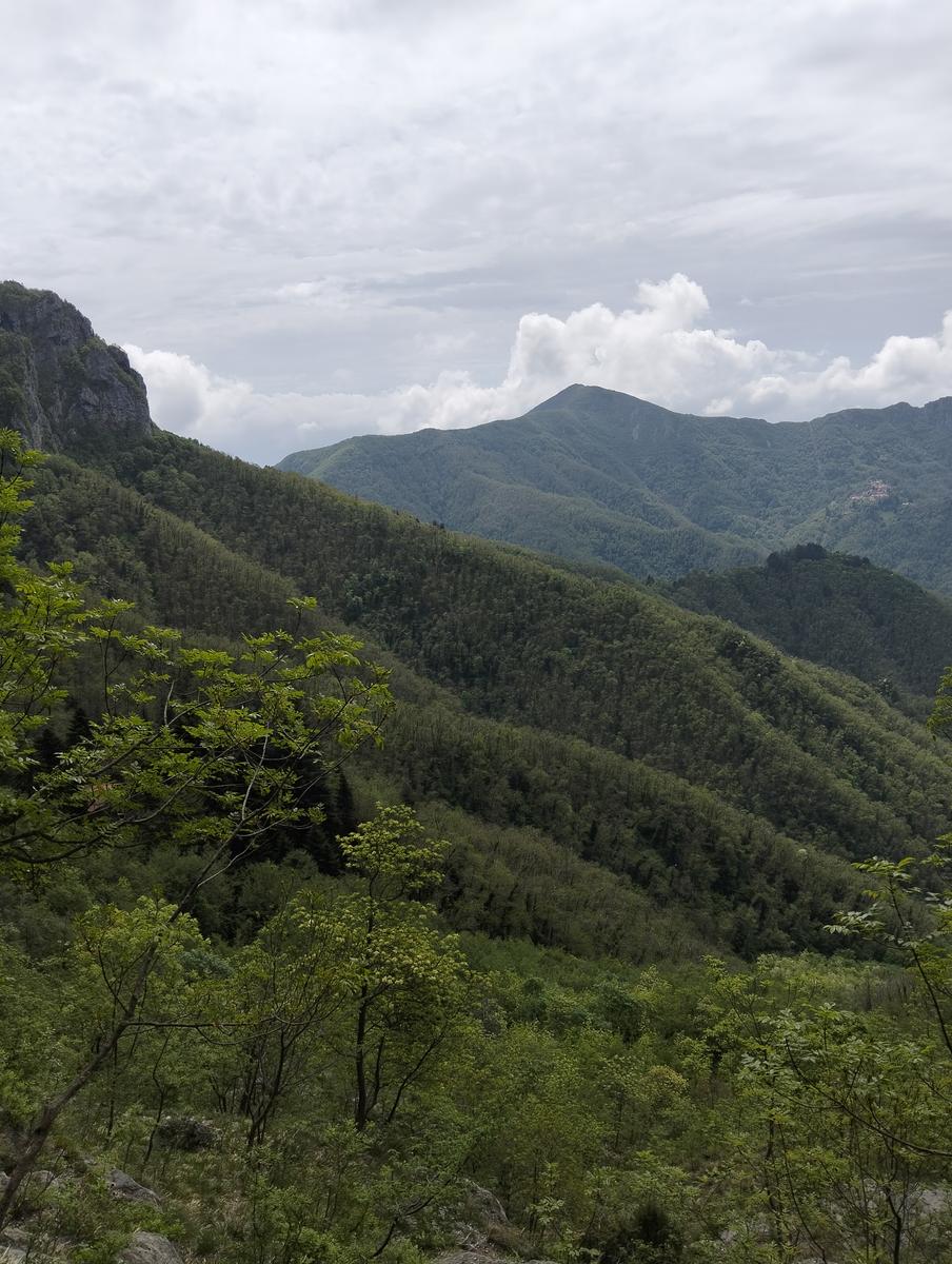 Foce di Petrosciana, Monte Forato Sud (e ferrata) e Procinto - foto 6