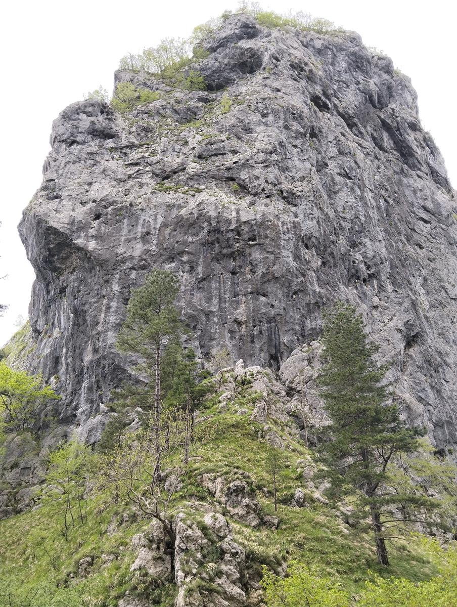 Foce di Petrosciana, Monte Forato Sud (e ferrata) e Procinto - foto 13
