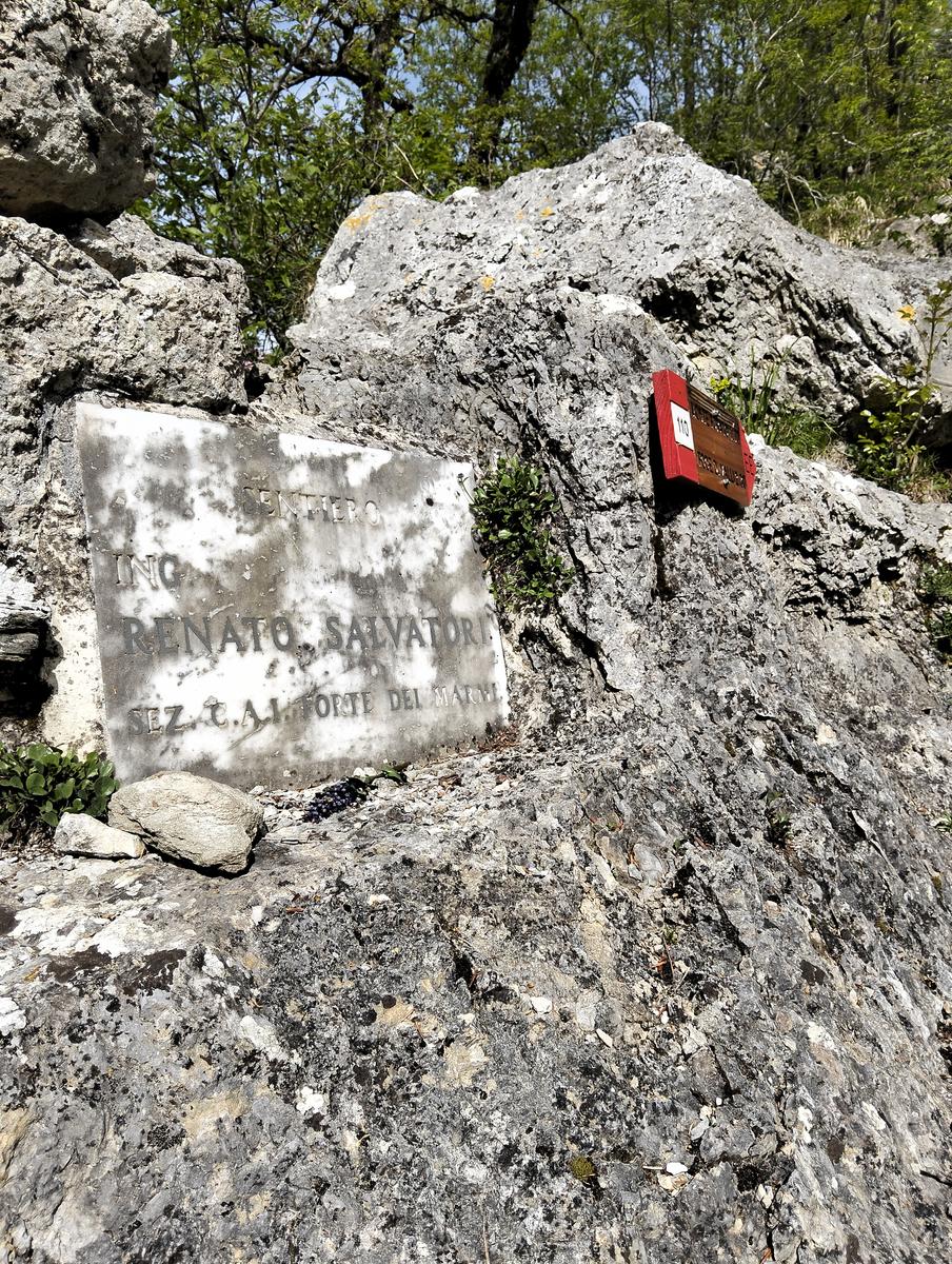 Foce di Petrosciana, Monte Forato Sud (e ferrata) e Procinto - foto 20