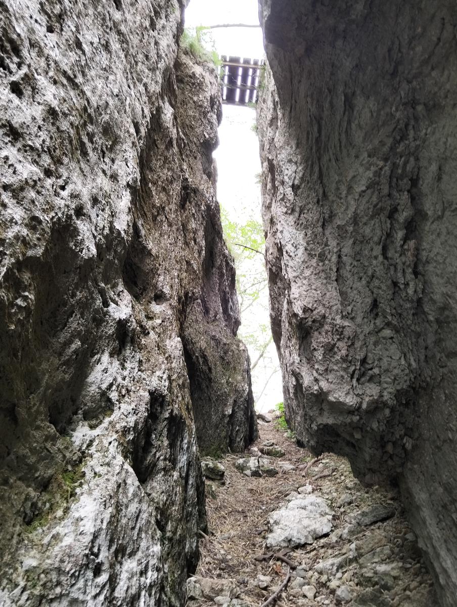 Foce di Petrosciana, Monte Forato Sud (e ferrata) e Procinto - foto 28