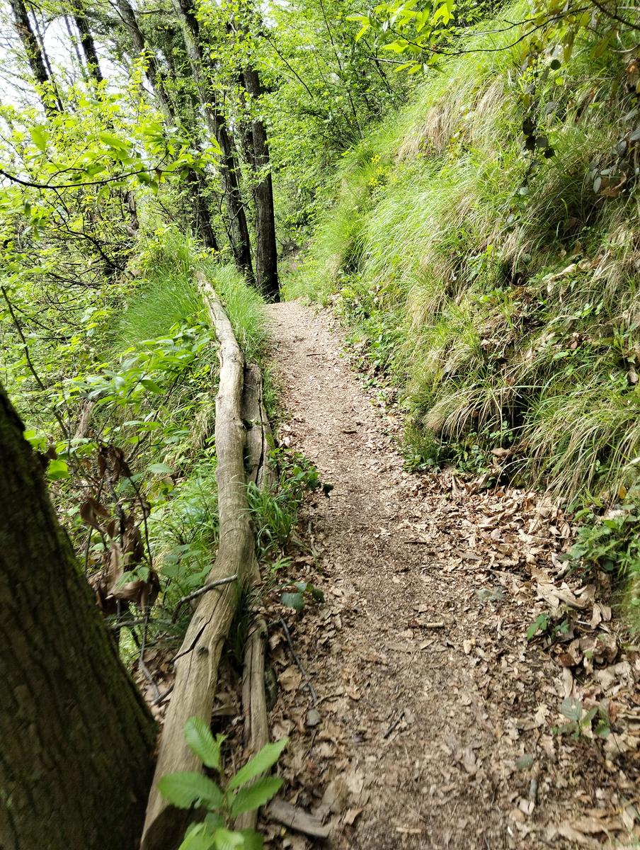 Foce di Petrosciana, Monte Forato Sud (e ferrata) e Procinto - foto 29