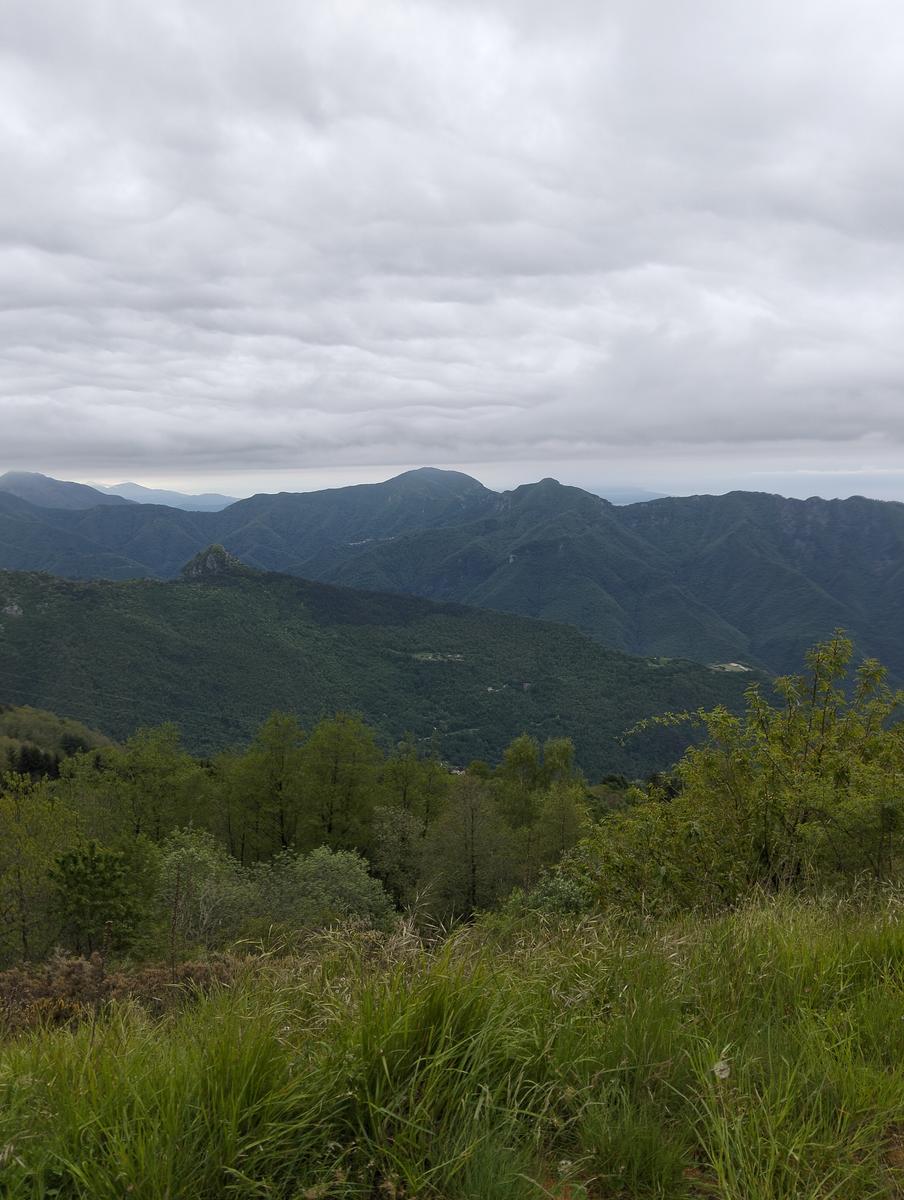 Le non panie della croce e pizzo d'uccello