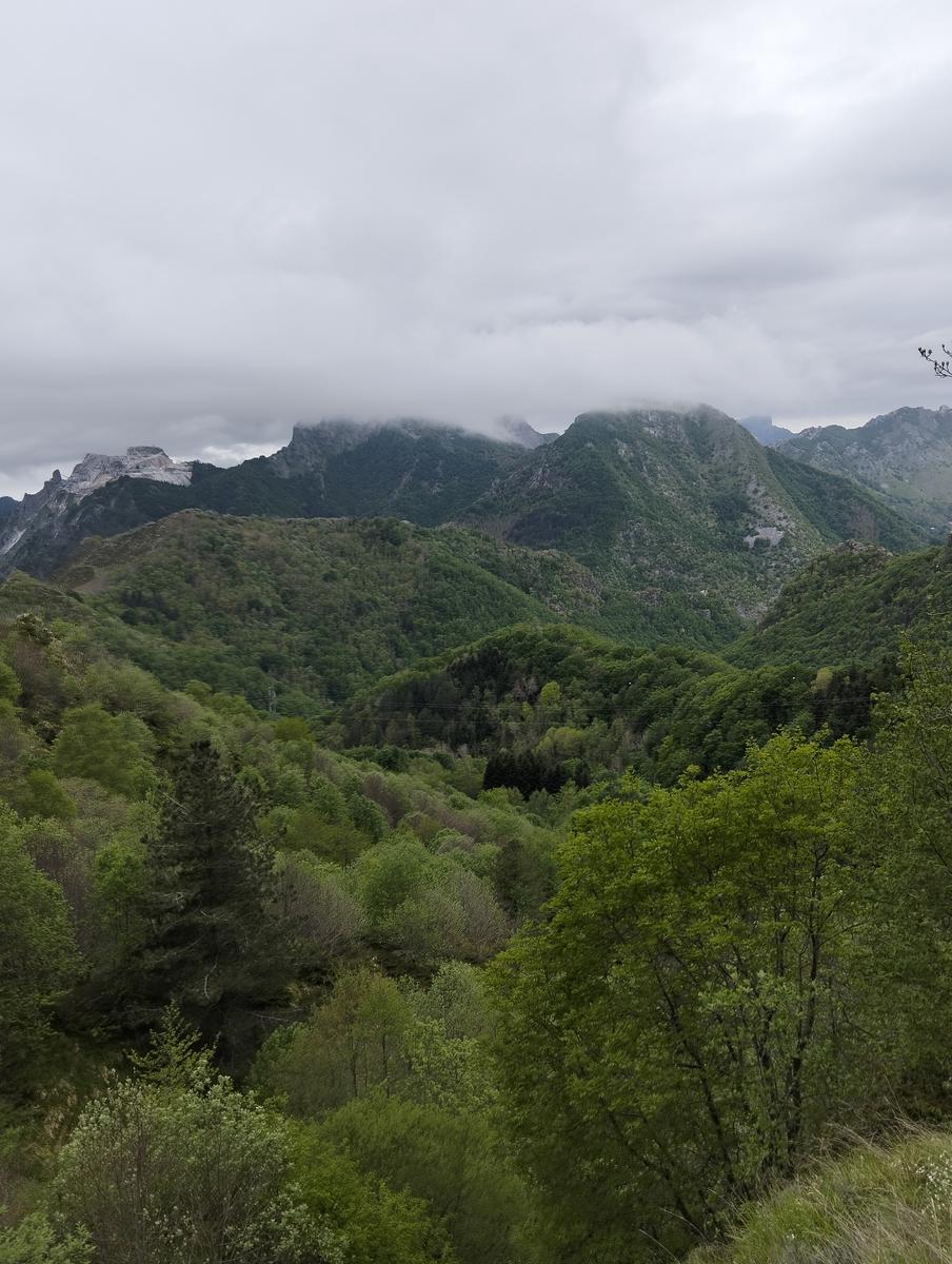 Le non panie della croce e pizzo d'uccello - foto 2