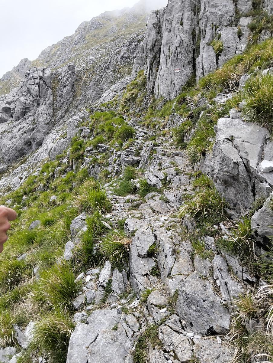 Le non panie della croce e pizzo d'uccello - foto 3