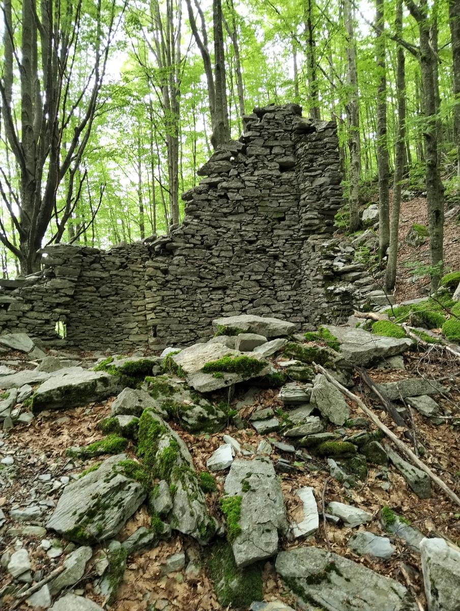 Le non panie della croce e pizzo d'uccello - foto 5