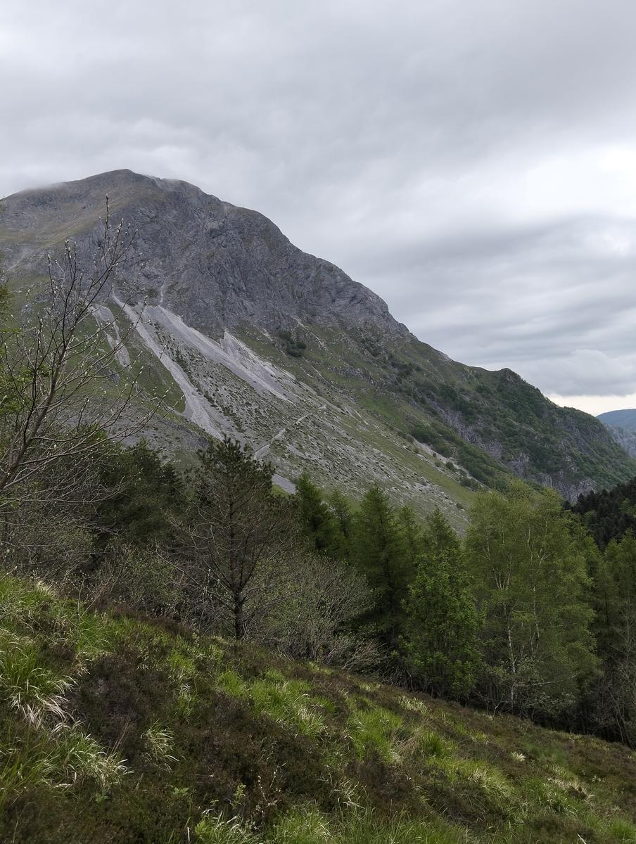 Le non panie della croce e pizzo d'uccello - foto 6