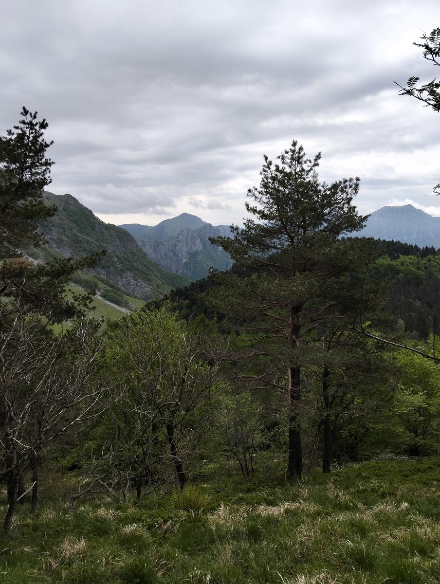 Le non panie della croce e pizzo d'uccello - foto 8