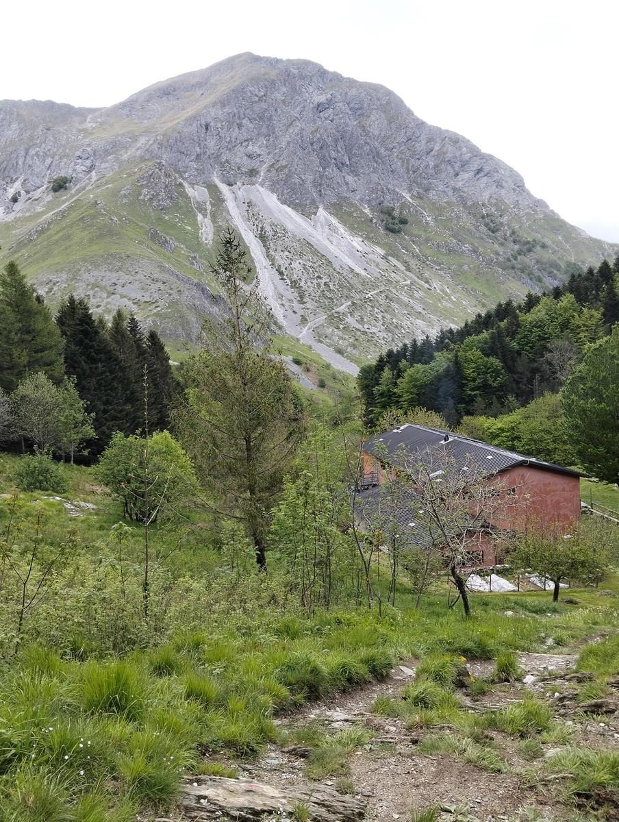 Le non panie della croce e pizzo d'uccello - foto 9