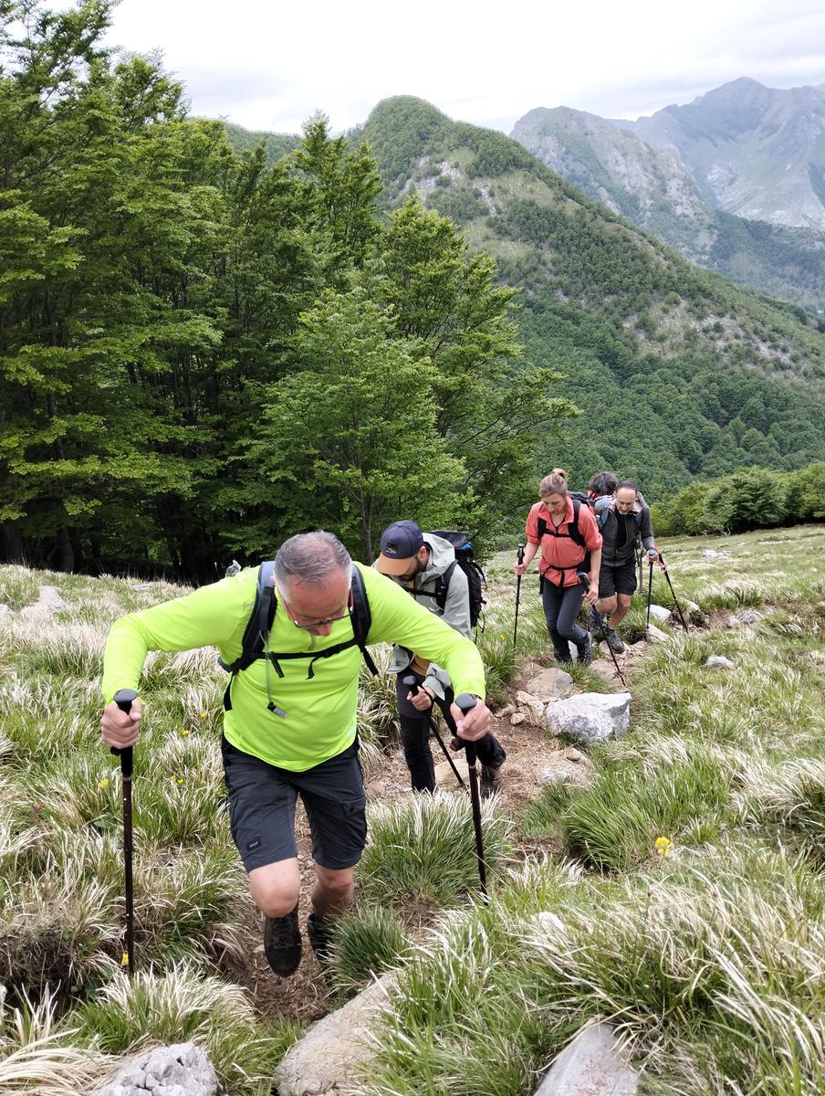 Le non panie della croce e pizzo d'uccello - foto 11