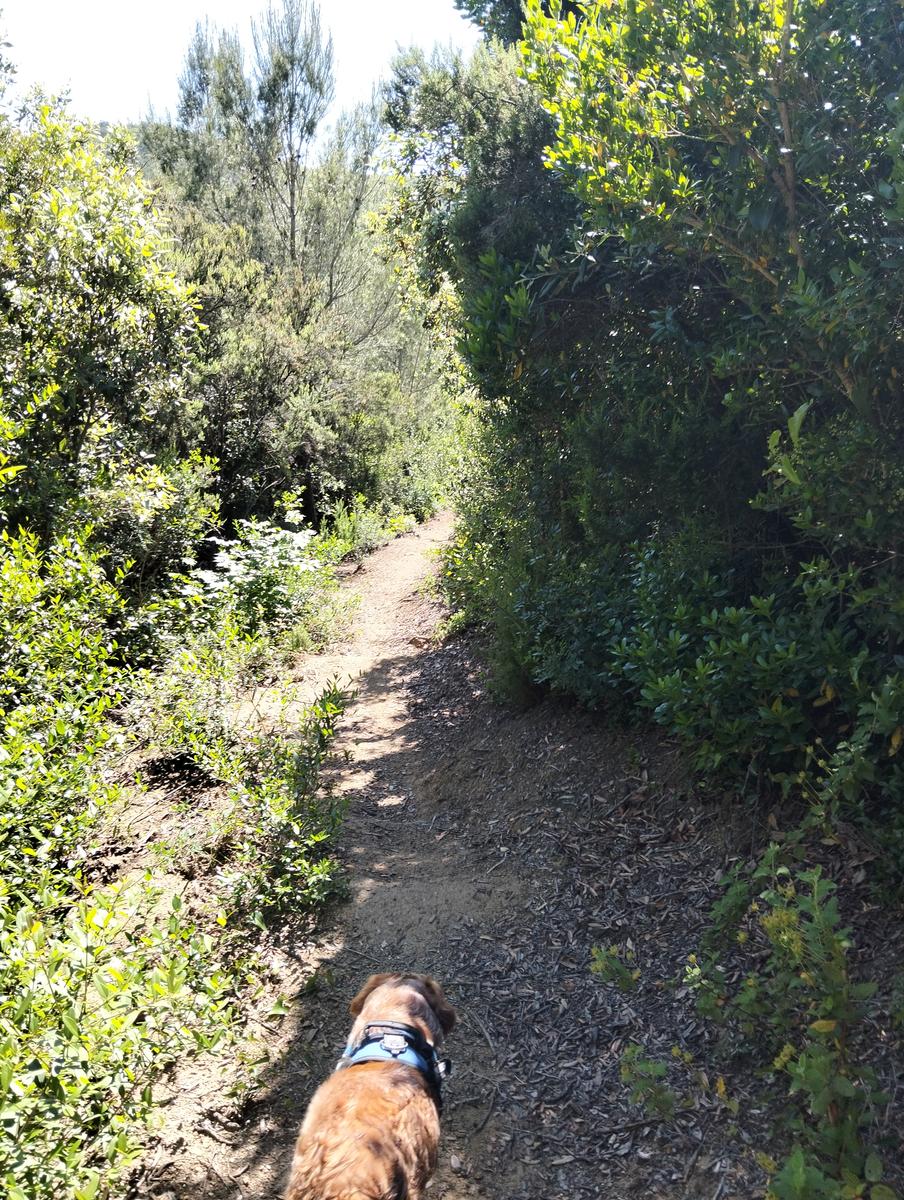 Botro del Diavolo - foto 4