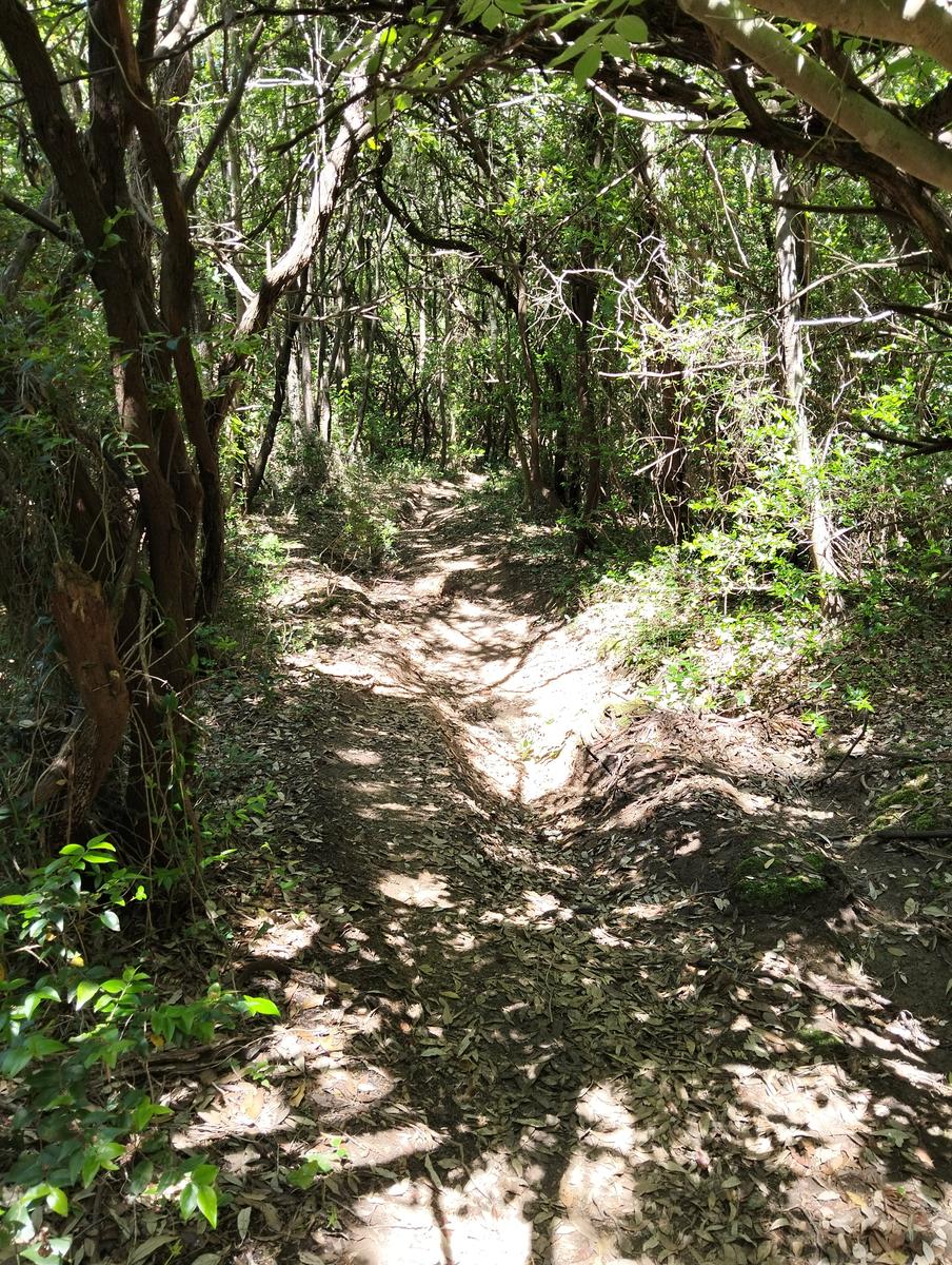 Botro del Diavolo - foto 12