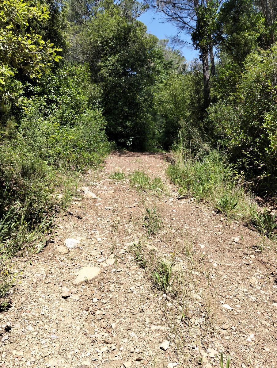 Val di chioma ~ Anello tra Torre del Piastrone e laghetto delle Pianacce - foto 2