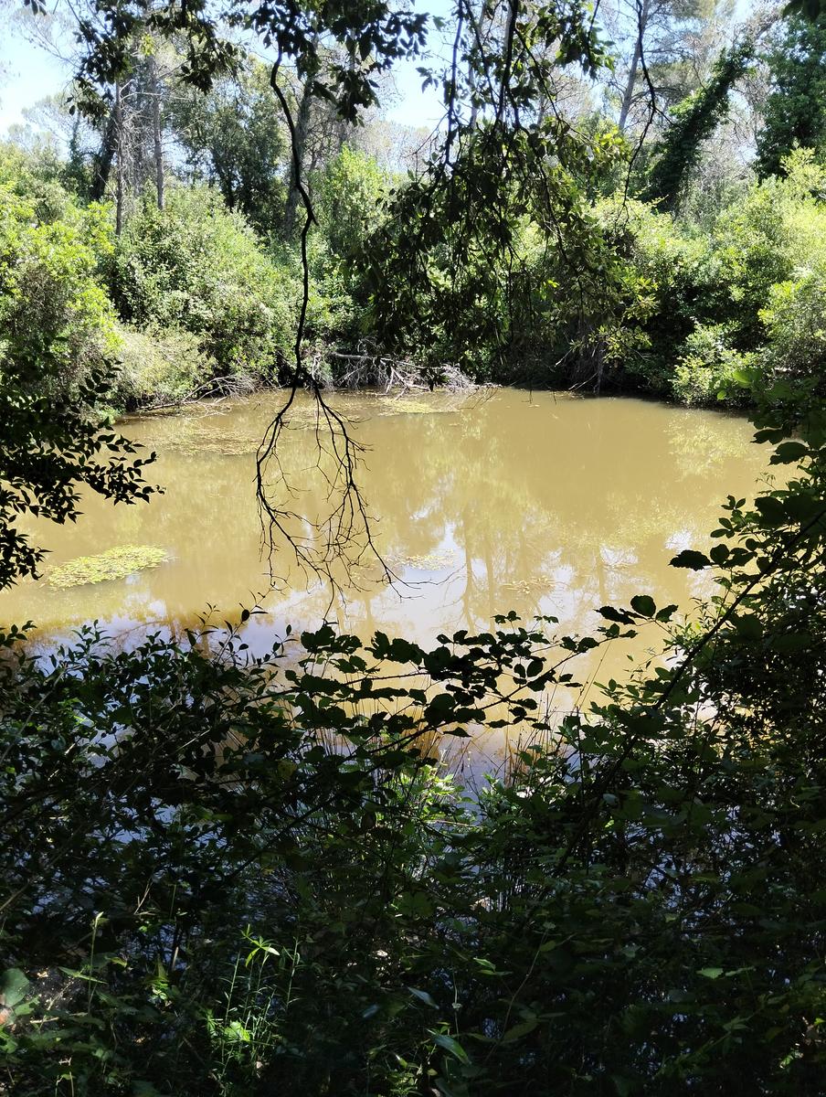 Val di chioma ~ Anello tra Torre del Piastrone e laghetto delle Pianacce - foto 4